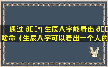 通过 🐶 生辰八字能看出 🌷 啥命（生辰八字可以看出一个人的命运吗）